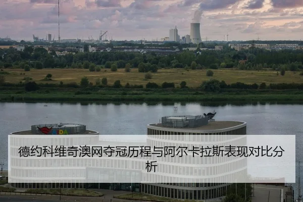 de-yue-ke-wei-qi-ao-wang-duo-guan-li-cheng-yu-a-er-ka-la-si-biao-xian-dui-bi-fen-xi-2-347.jpg